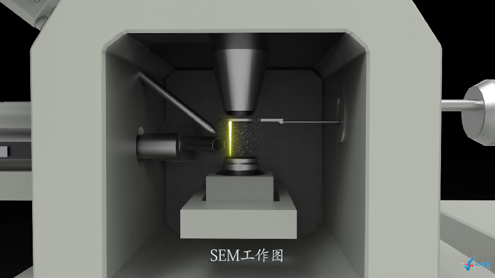 仪分系列动画之——扫描电子显微技术 SEM