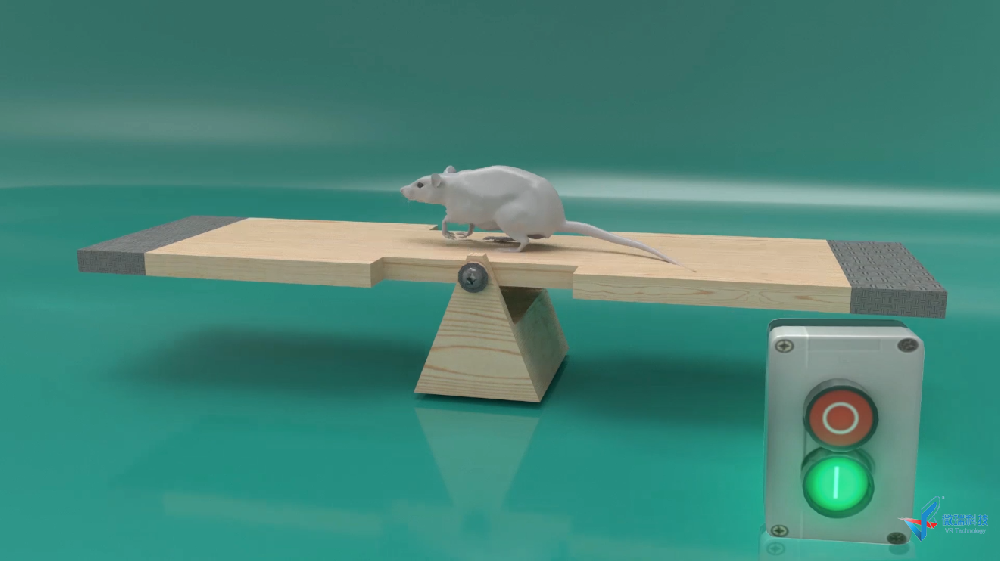 生物医学类动画——小白鼠刺激行为